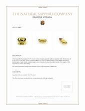 0.97 Ct. Greenish Yellow Sapphire from Ceylon (Sri Lanka) Appraisal