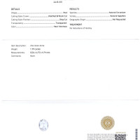 Jewelry Scan Report