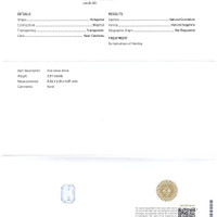 Jewelry Scan Report