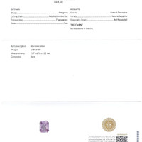 Jewelry Scan Report