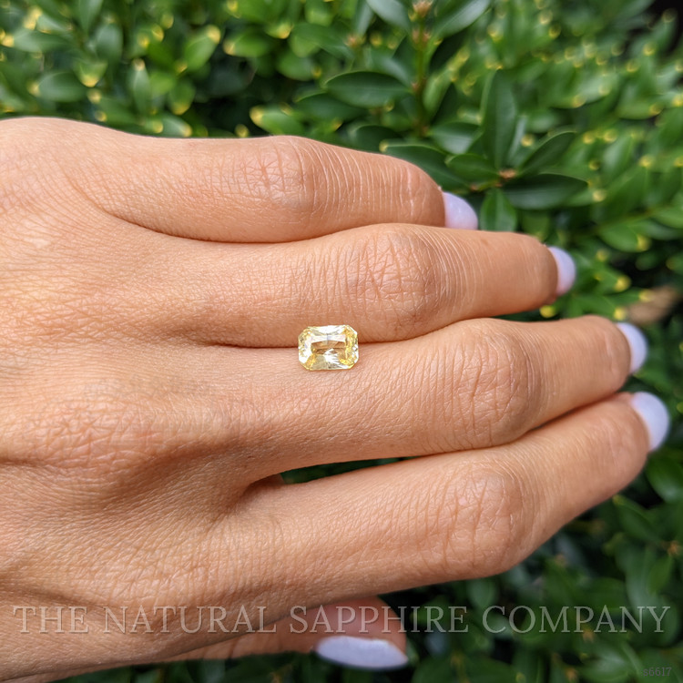 1.62 Ct. Yellow Sapphire from Ceylon (Sri Lanka)