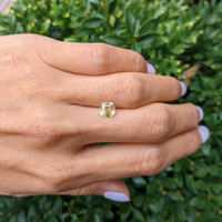 1.55 Ct. Yellow Sapphire from Ceylon (Sri Lanka) Life Style