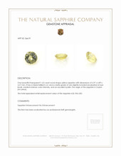 1.63 Ct. Yellow Sapphire from Ceylon (Sri Lanka) Appraisal