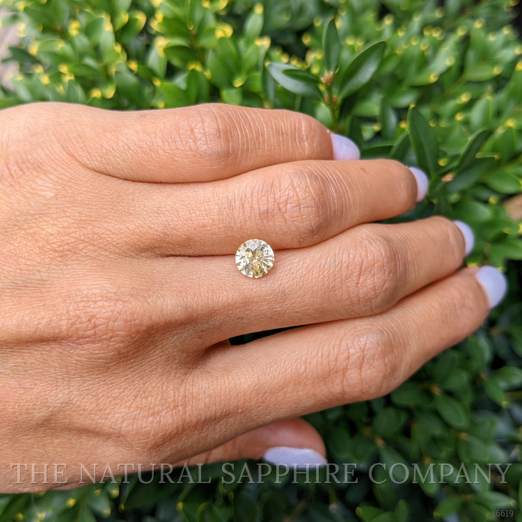 1.63 Ct. Yellow Sapphire from Ceylon (Sri Lanka)