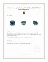 1.07 Ct. Greenish Blue Sapphire from Ceylon (Sri Lanka) Appraisal