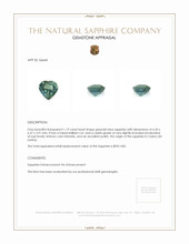 1.19 Ct. Greenish Blue Sapphire from Ceylon (Sri Lanka) Appraisal