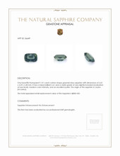 1.01 Ct. Greenish Blue Sapphire from Ceylon (Sri Lanka) Appraisal