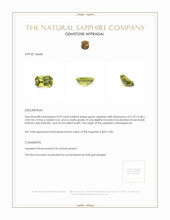 Jewelry Appraisal