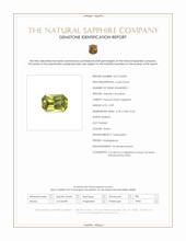 Jewelry Scan Report