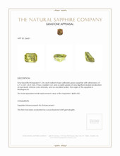 1.24 Ct. Yellowish Green Sapphire from Madagascar Appraisal
