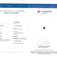 Jewelry Scan Report