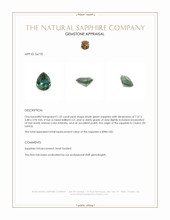 1.23 Ct. Bluish Green Sapphire from Ceylon (Sri Lanka) Appraisal