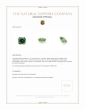 1.15 Ct. Bluish Green Sapphire from Ceylon (Sri Lanka) Appraisal