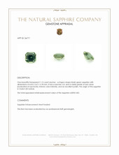1.15 Ct. Bluish Green Sapphire from Ceylon (Sri Lanka) Appraisal