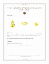 3.23 Ct. Yellow Sapphire from Ceylon (Sri Lanka) Appraisal