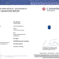 7.03 Ct. Blue Sapphire from Ceylon (Sri Lanka) Scan Report