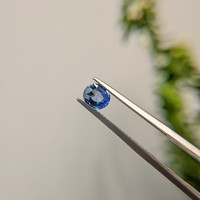 0.58 Ct. Blue Sapphire from Ceylon (Sri Lanka) Life Style
