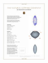 Jewelry 3 D Scan Report