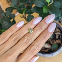 1.75 Ct. Yellow Sapphire from Ceylon (Sri Lanka) Life Style