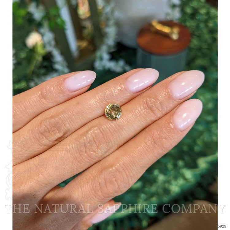 1.75 Ct. Yellow Sapphire from Ceylon (Sri Lanka)
