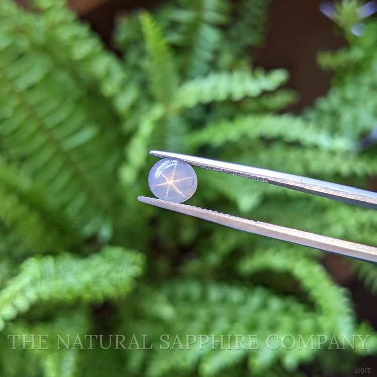 2.32 Ct. Grey Star Sapphire from Ceylon (Sri Lanka)