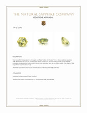 4.18 Ct. Yellow Sapphire from Ceylon (Sri Lanka) Appraisal