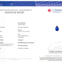 12.07 Ct. Blue Sapphire from Ceylon (Sri Lanka) Scan Report