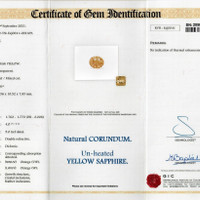 Jewelry Scan Report