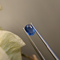 1.42 Ct. Blue Sapphire from Ceylon (Sri Lanka) Life Style