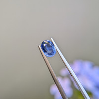 1.44 Ct. Blue Sapphire from Ceylon (Sri Lanka) Life Style