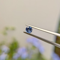 0.49 Ct. Blue Sapphire from Ceylon (Sri Lanka) Life Style