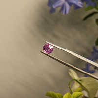1.02 Ct. Pink Sapphire from Ceylon (Sri Lanka) Life Style