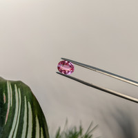 2.06 Ct. Pink Sapphire from Ceylon (Sri Lanka) Life Style
