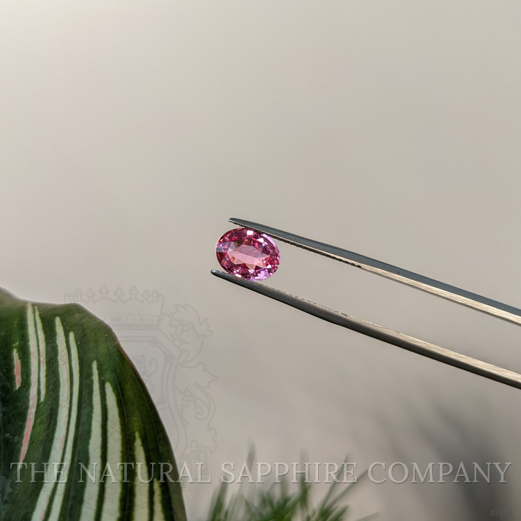 2.06 Ct. Pink Sapphire from Ceylon (Sri Lanka)