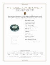 Jewelry Scan Report