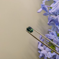 3.01 Ct. Bi Color Sapphire from Ceylon (Sri Lanka) Life Style
