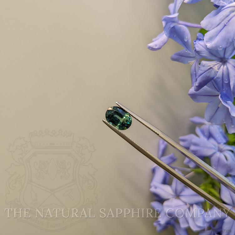 3.01 Ct. Bi Color Sapphire from Ceylon (Sri Lanka)