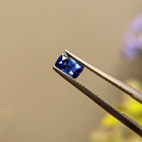 1.09 Ct. Blue Sapphire from Ceylon (Sri Lanka) Life Style