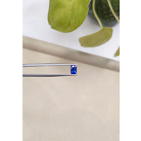 1.09 Ct. Blue Sapphire from Ceylon (Sri Lanka) Life Style