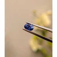 1.13 Ct. Blue Sapphire from Ceylon (Sri Lanka) Life Style