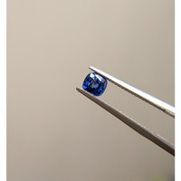 0.98 Ct. Blue Sapphire from Ceylon (Sri Lanka) Life Style
