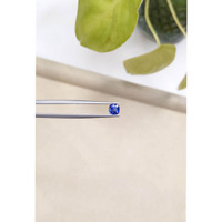 0.98 Ct. Blue Sapphire from Ceylon (Sri Lanka) Life Style