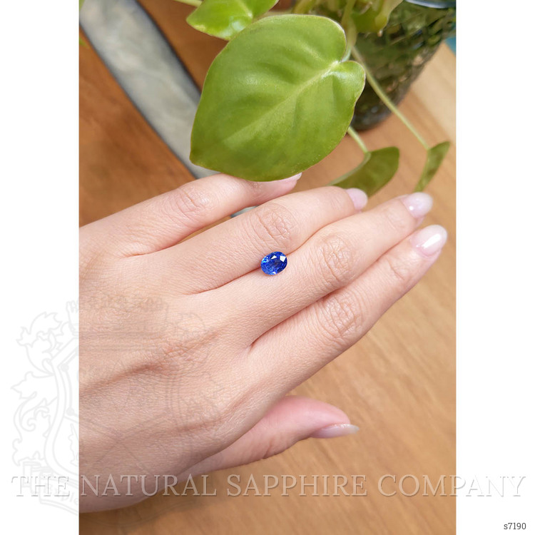 1.52 Ct. Blue Sapphire from Ceylon (Sri Lanka)