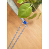 1.52 Ct. Blue Sapphire from Ceylon (Sri Lanka) Life Style