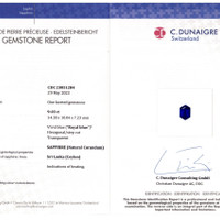 9.03 Ct. Blue Sapphire from Ceylon (Sri Lanka) Scan Report