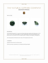 Jewelry Appraisal