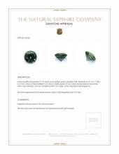 Jewelry Appraisal