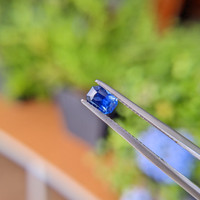0.63 Ct. Blue Sapphire from Ceylon (Sri Lanka) Life Style