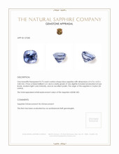 0.73 Ct. Blue Sapphire from Ceylon (Sri Lanka) Appraisal
