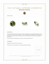 0.42 Ct. Yellowish Green Sapphire from Madagascar Appraisal